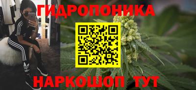 дмт Пенза