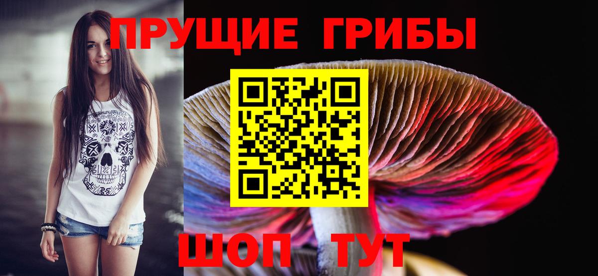 Псилоцибиновые грибы GOLDEN TEACHER Россошь