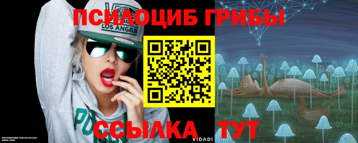 Россошь  Галлюциногенные грибы MAGIC MUSHROOMS  Вход с VPN 